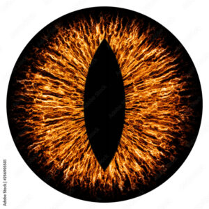 Evil animal eye iris macro illustration