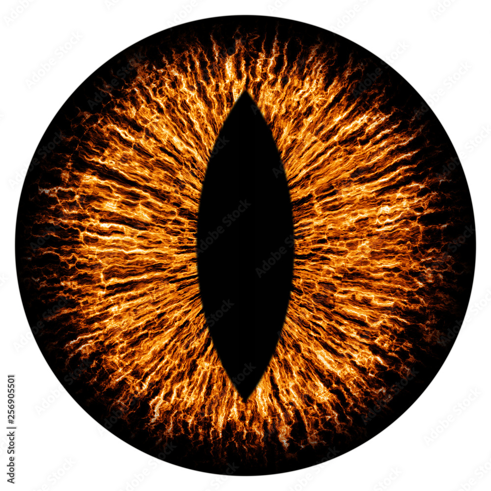 Evil animal eye iris macro illustration